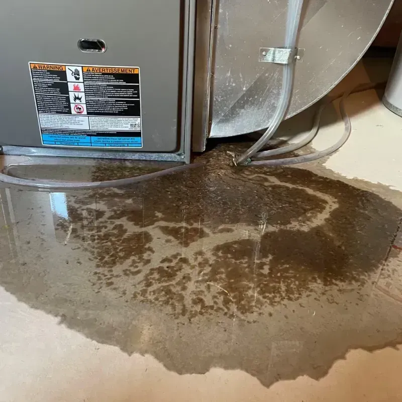 Appliance Leak Cleanup in North Canton, OH